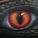 Reptilian Human Eye Tattoo